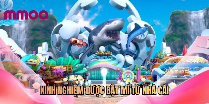 Kinh nghiệm được bật mí từ nhà cái